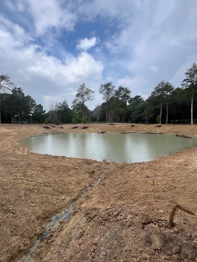 Freshly dug pond