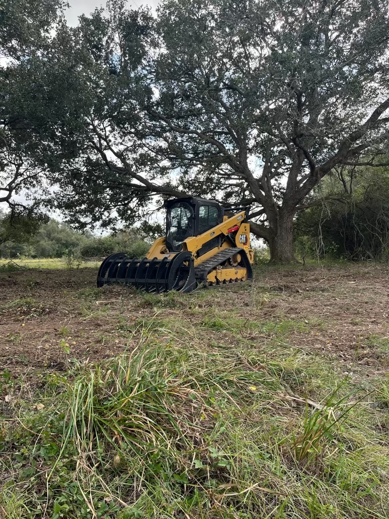 Skidsteer in trees