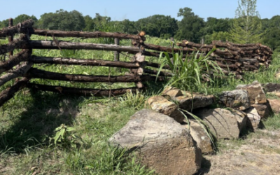 Historical Cedar Fence
